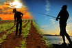 agricoltura e pesca