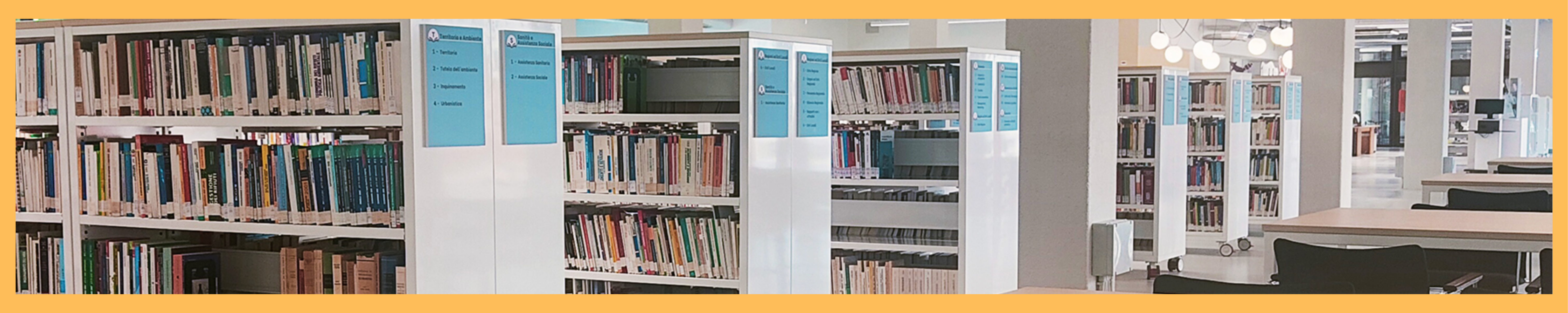 Nwsl_foto_biblioteca.png Nwsl_foto_biblioteca.png