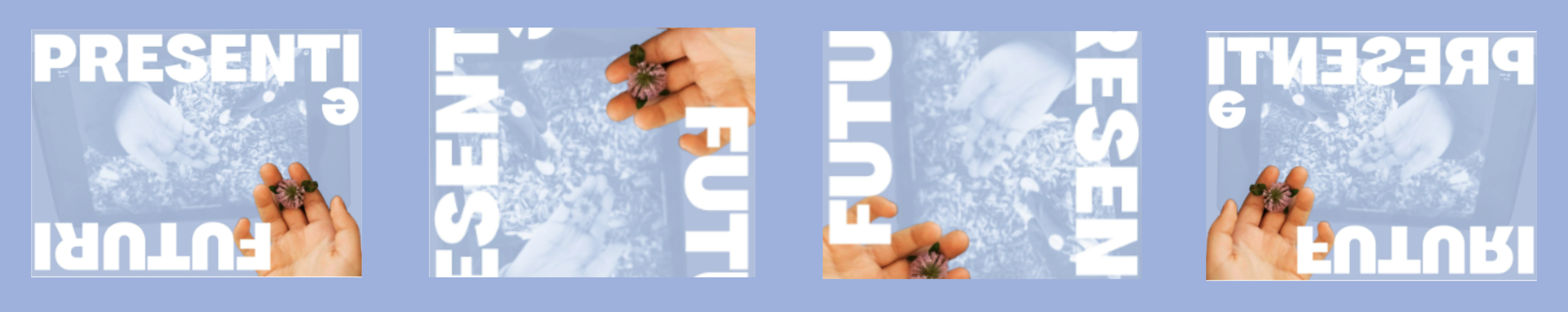 Nwsl_Presenti_e_futuri.png