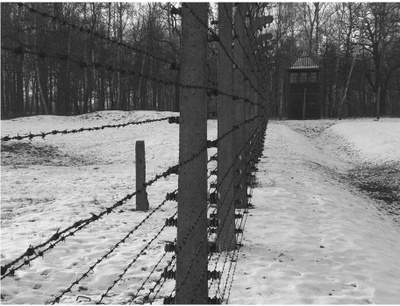 Mem in ER - fossoli incontro marcello martini