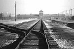 “Un treno per Auschwitz”, al via la formazione per i docenti