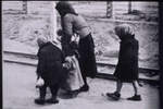 Auschwitz, 1944. Un gruppo di ebrei, sulla Lagerstrasse di Birkenau, procede in direzione dei Crematori IV o V. Dall’album Il trapianto degli ebrei di Ungheria, realizzato dai nazisti ad Auschwitz nell’estate 1944