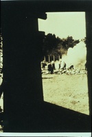 Auschwitz, estate 1944. Fotografia scattata clandestinamente da un membro del Sonderkommando del Crematorio V