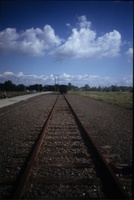 Auschwitz, 2006. La cosiddetta Judenrampe, la banchina ferroviaria sulla quale sbarcarono gli ebrei deportati ad Auschwitz, dalla primavera 1942 fino al maggio 1944.