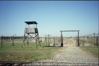 Auschwitz, 2006. La cosiddetta Lagerstrasse, la via più importante del campo Auschwitz II-Birkenau. Nell’estate del 1944, dopo la selezione sulla nuova rampa, questa strada era percorsa sia da coloro che erano condotti ai Crematori IV e V, sia da quanti andavano all’edificio chiamato Zentral Sauna, per essere registrati.