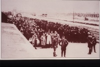 Auschwitz-II-Birkenau 1944. La selezione di un convoglio di ebrei ungheresi. Dall’album Il trapianto degli ebrei di Ungheria, realizzato dai nazisti ad Auschwitz nell’estate 1944.