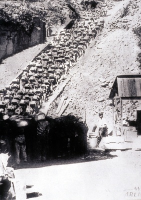 Zoom Immagine Zoom Immagine