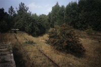 Polonia, 2000. La banchina ferroviaria di Sobibor.