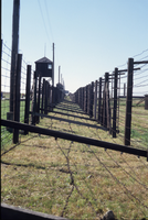 Lublino (Polonia), 2000. Il campo di concentramento di Majdanek
