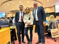 Delegazione dei Difensori Civici a Bruxelles, tutela dei diritti e norme etiche  nelle PA i temi trattati