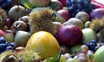 Strada del Sangiovese