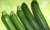 Zucchine