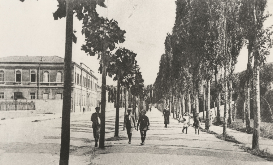 Cesena 3