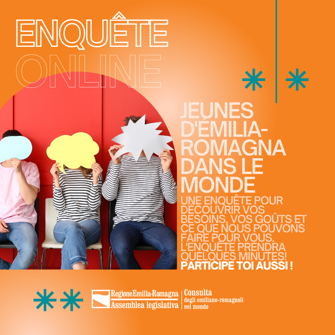 Immagine su sondaggio online/francese