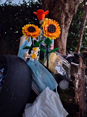 06_Fiori nel futuro.jpg 06_Fiori nel futuro.jpg