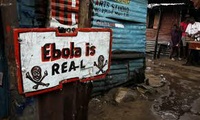 Ebola: gli aiuti dell'Ue. Ricerca e assistenza in primis 