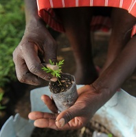 Volontariato in Africa... in caravan