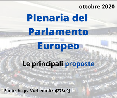Plenaria PE ott 2020.png