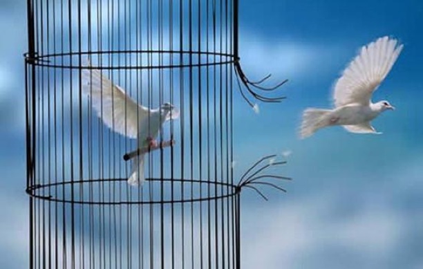 sportelli info carceri