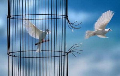 sportelli info carceri