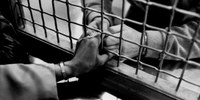 “Il volontariato tra carcere e territorio”: un seminario per un focus sull’importanza dell’attività dei volontari