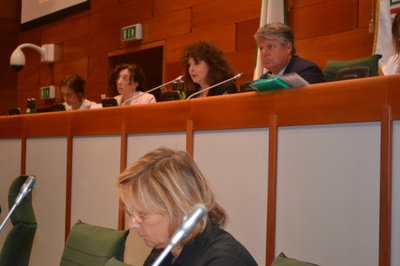 Desi Bruno fa una breve premessa alla sua relazione 2012