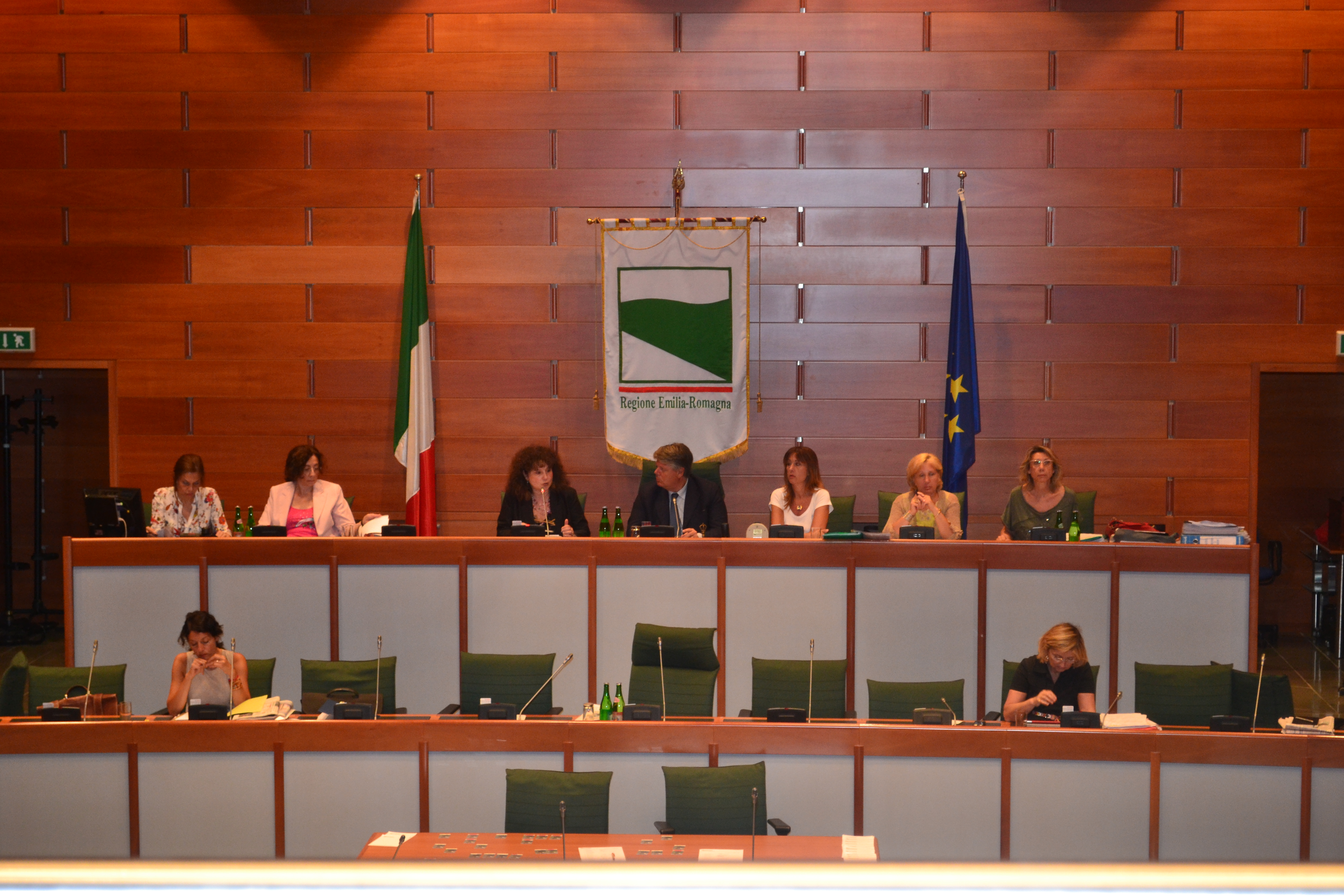 Desi Bruno risponde ai quesiti del Presidente Aimi