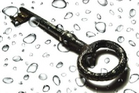 Privacy contro trasparenza