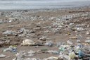 Partecipazione alla fase ascendente. La Regione Marche si pronuncia sulla proposta della Commissione europea per la riduzione in mare della plastica monouso e degli attrezzi da pesca contenenti plastica.