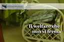 Viaggio nel welfare che si può fermare