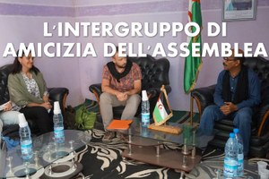 intergruppo amicizia