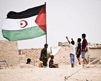 La rappresentanza dei Saharawi in vista delle elezioni